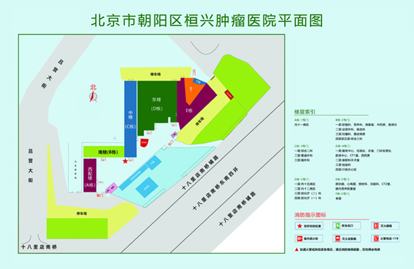 操逼大全北京市朝阳区桓兴肿瘤医院平面图